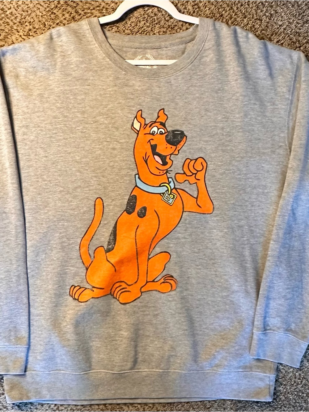 Gray Crewneck Sweatshirt with Scooby-Doo Graphic